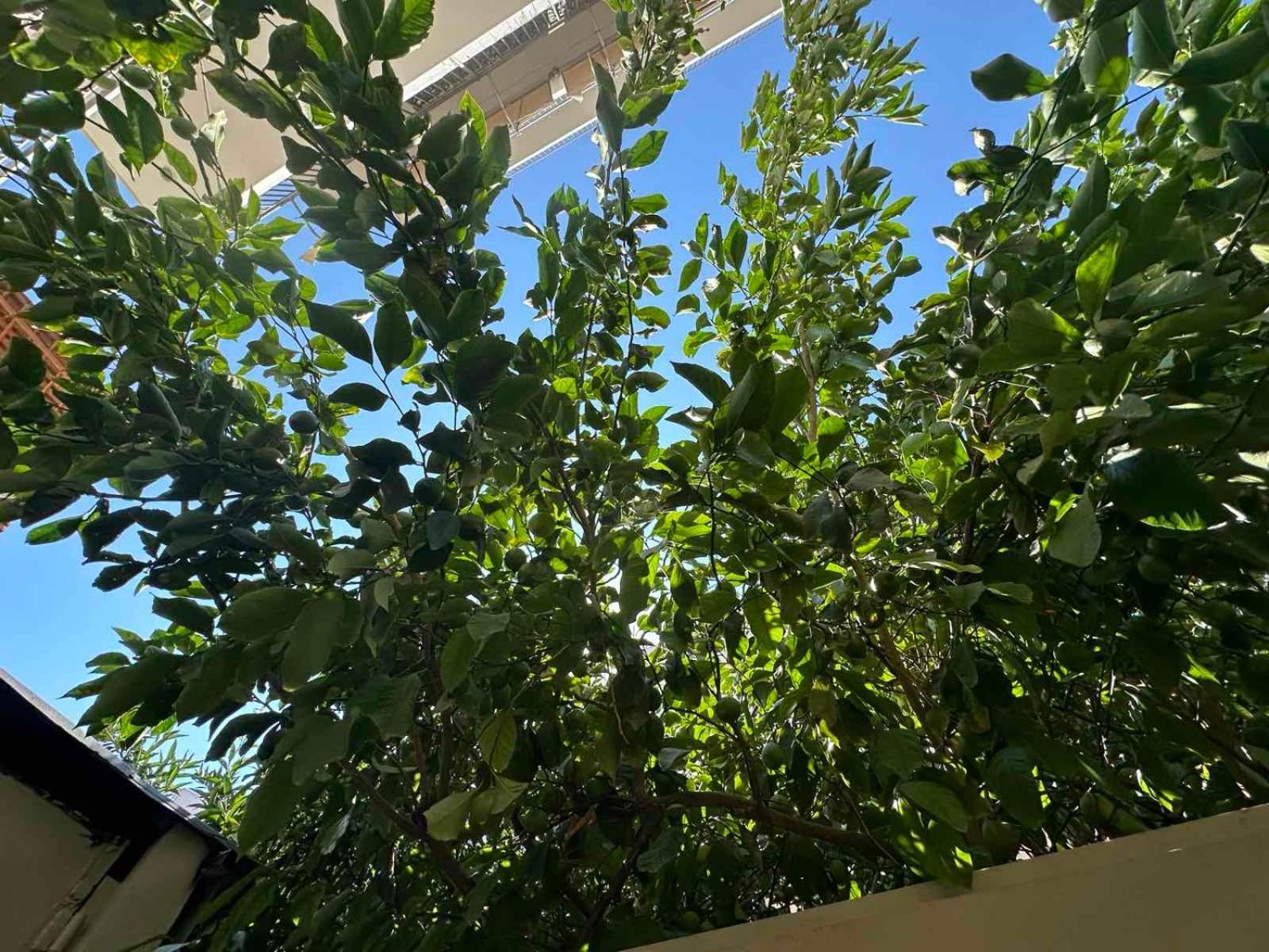 Green Spot Apartments Αθήνα Εξωτερικό φωτογραφία